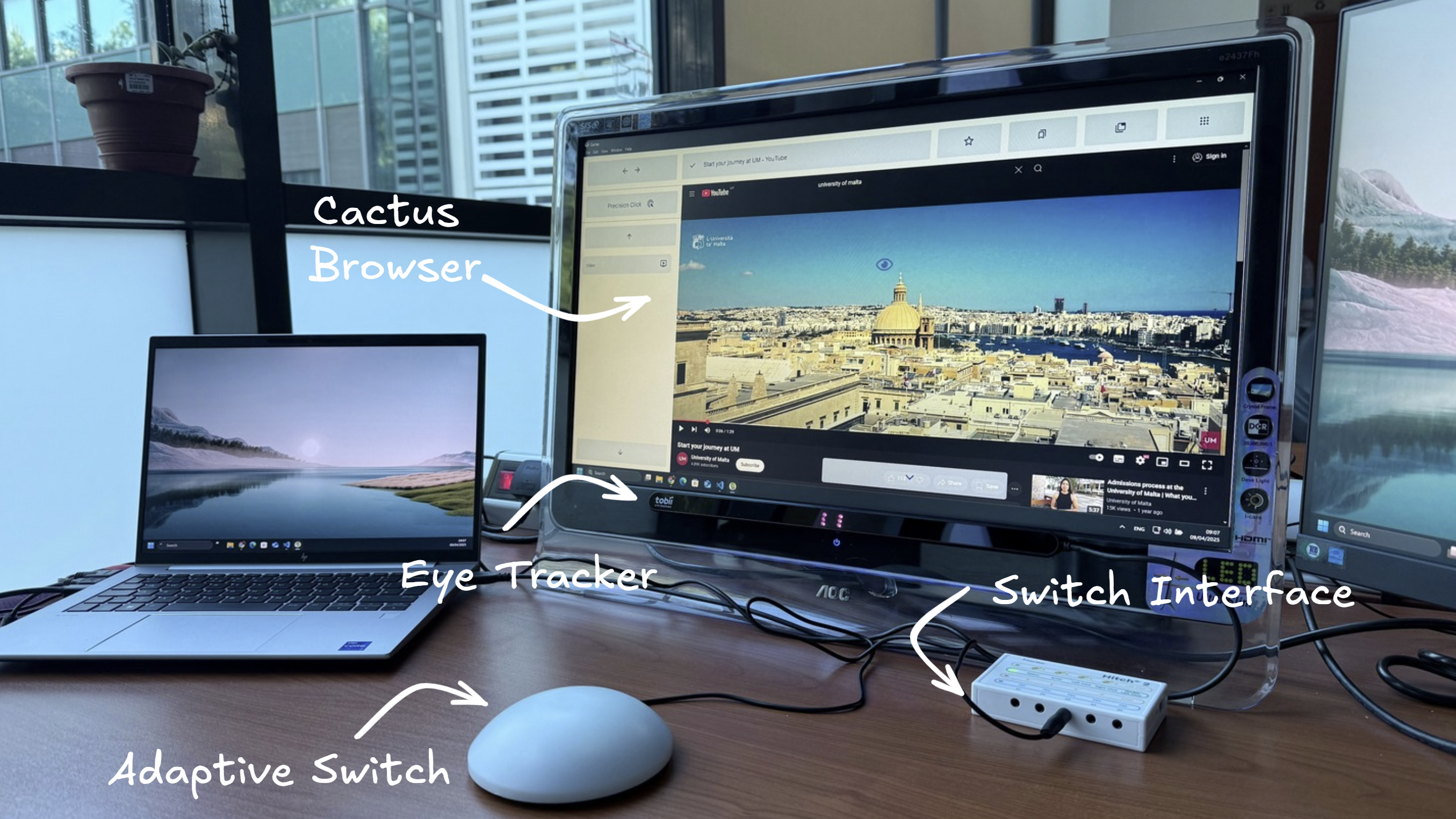 Image showing a user using adaptive switches to interact with the browser