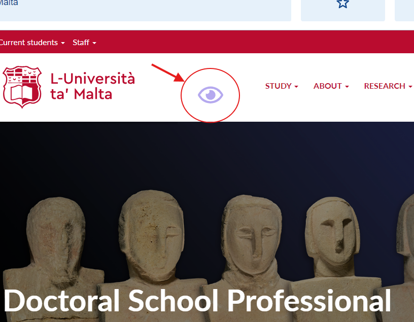 Image Showing Virtual Eye Cursor on University of Malta Website